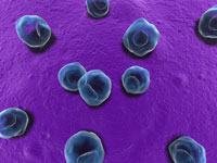 Bacterial STIs